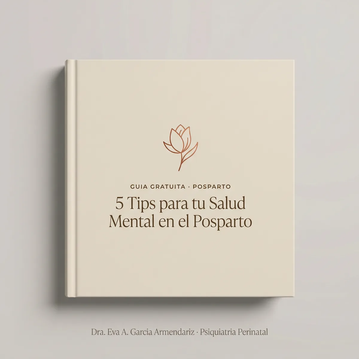 Guía gratuita Posparto - 5 Tips